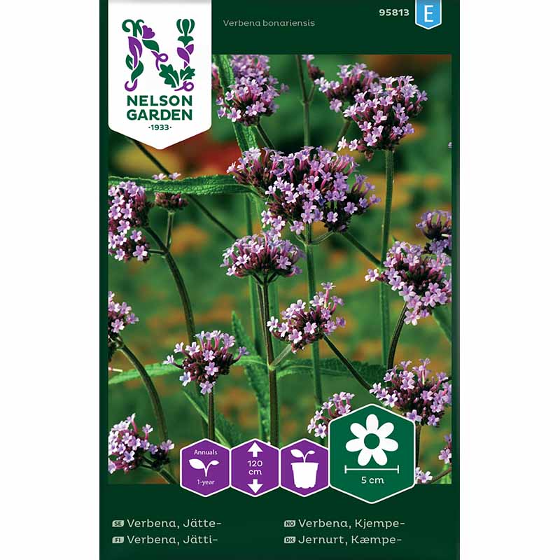 Høy verbena