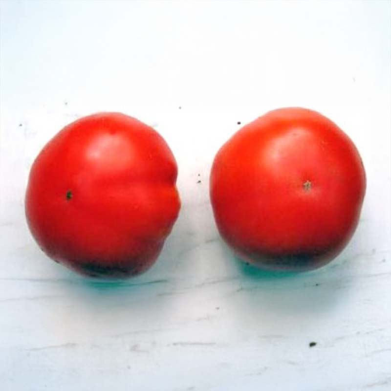 Tomat 'Marglobe'