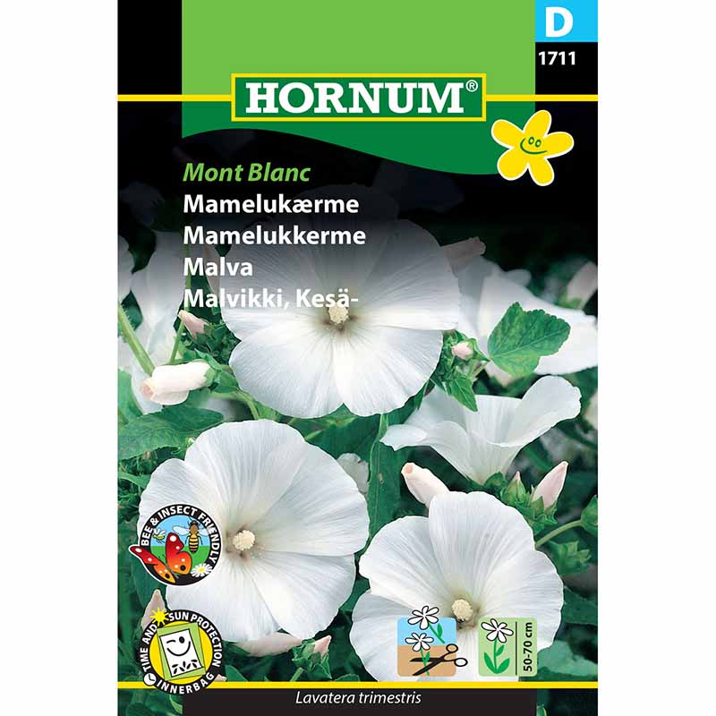 Malva 'Mont Blanc'
