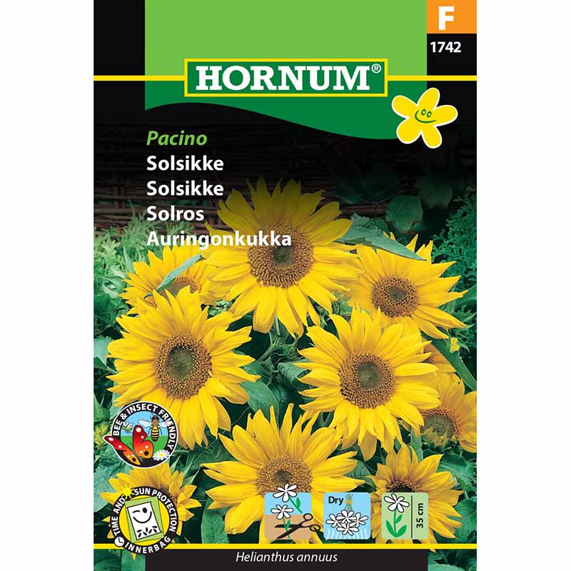 Solsikke 'Pacino'