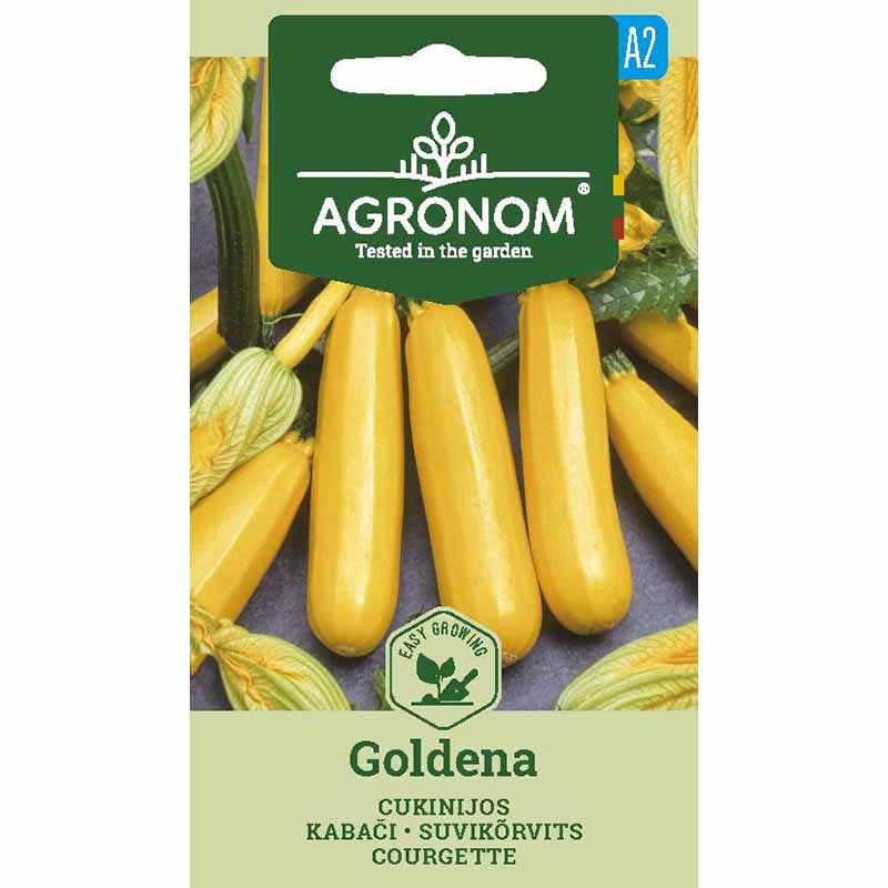 Squash 'Goldena'