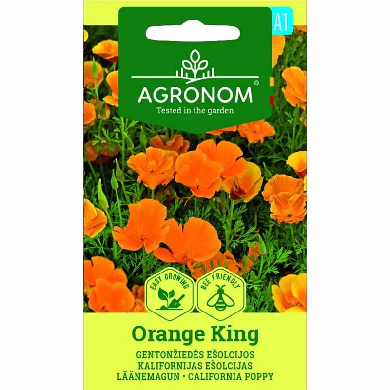 Sömntuta 'Orange King'
