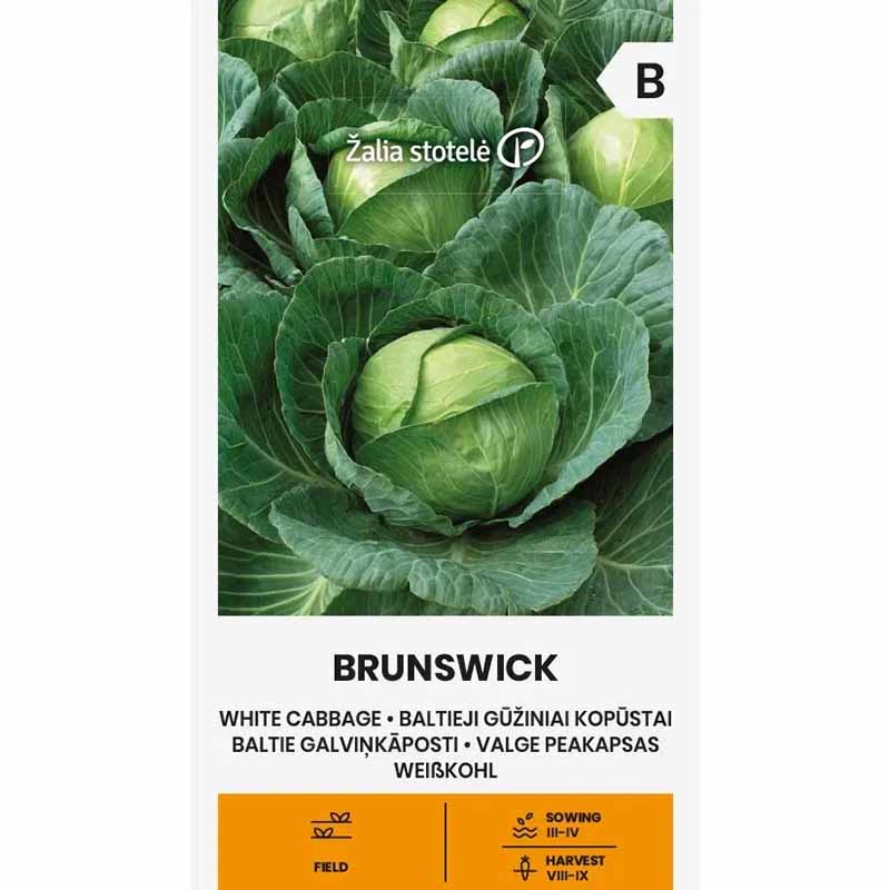 Vitkål 'Brunswick'