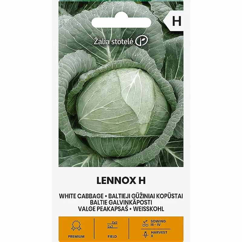 Vitkål 'Lennox' H