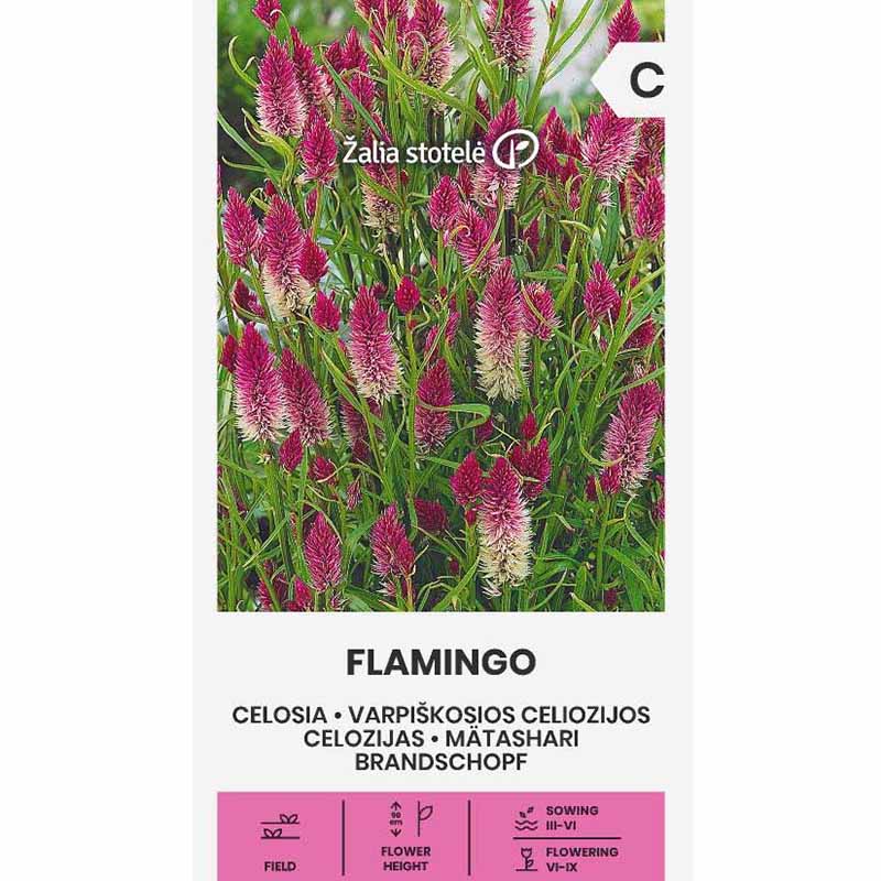 Axamarant 'Flamingo'