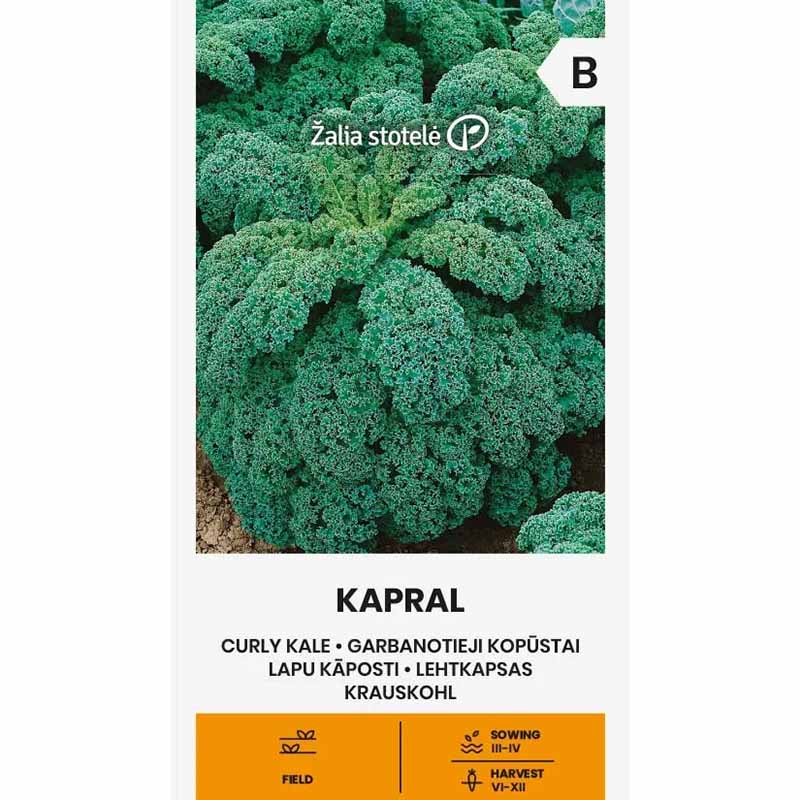 Grønnkål 'Kapral'