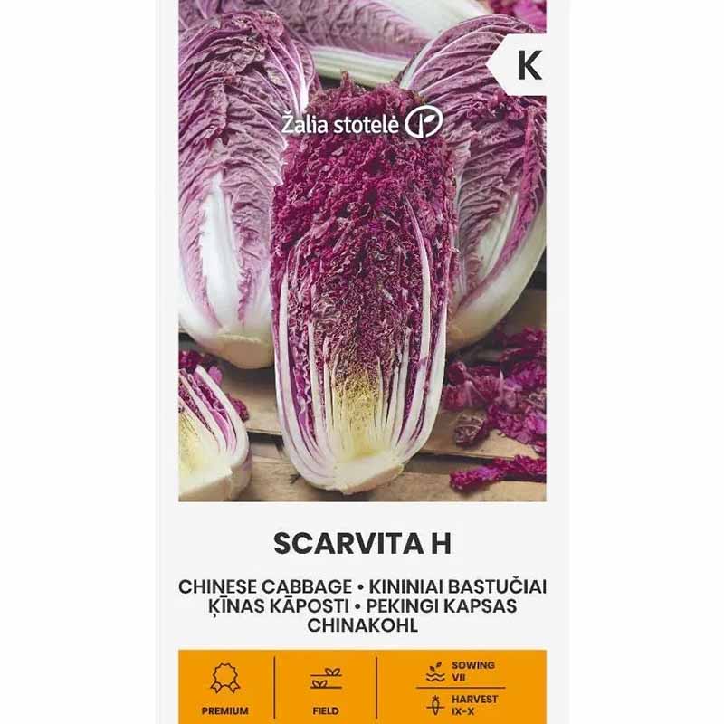 Kinakål 'Scarvita' h