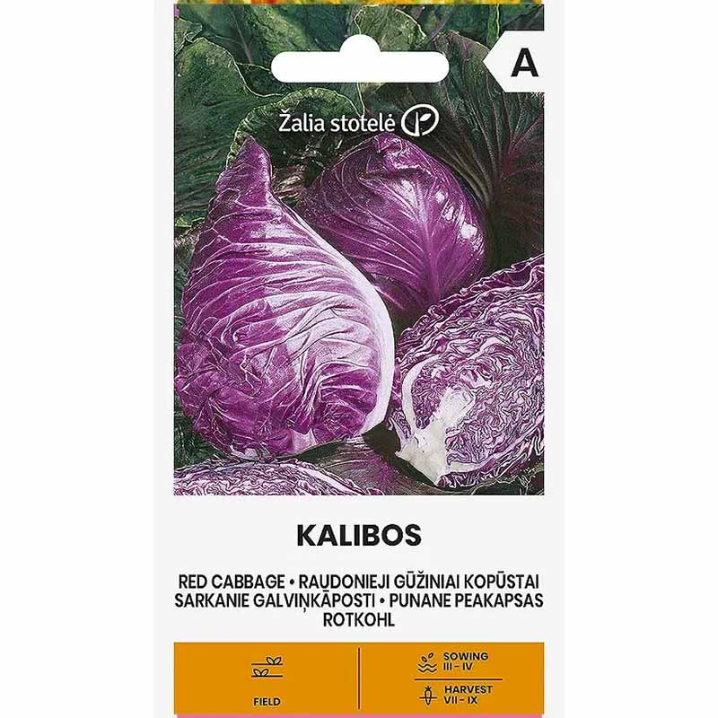 Rødkål 'Kalibos'