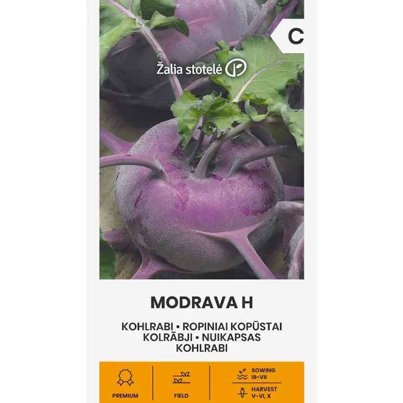 Kålrabi 'Modrava' h