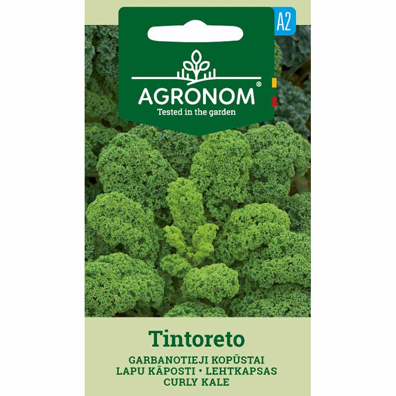 Grönkål 'tintoreto'