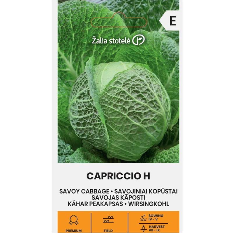 Savoykål 'Cappriccio' h