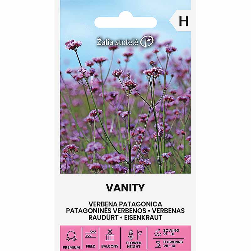 Jätteverbena 'Vanity'