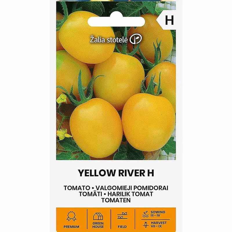 Plommontomat 'Yellow river' H