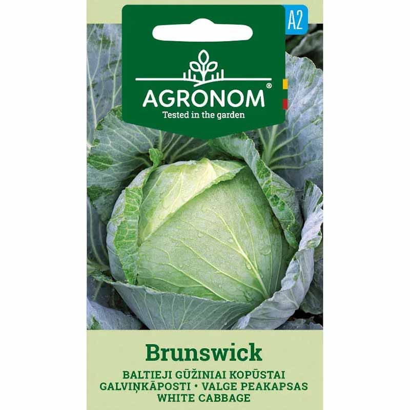 Vitkål 'Brunswick'