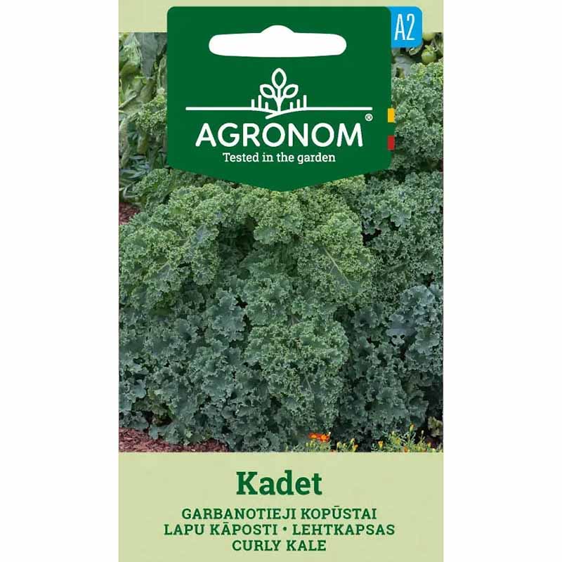 Grönkål 'Kadet'