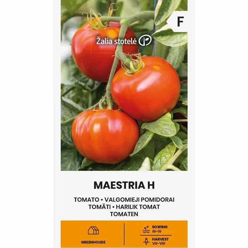 Tomat 'Maestria' H