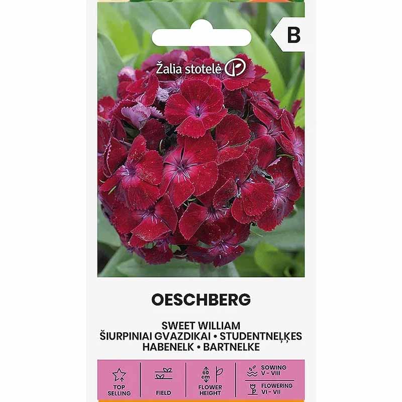Borstnejlika 'Oeschberg'