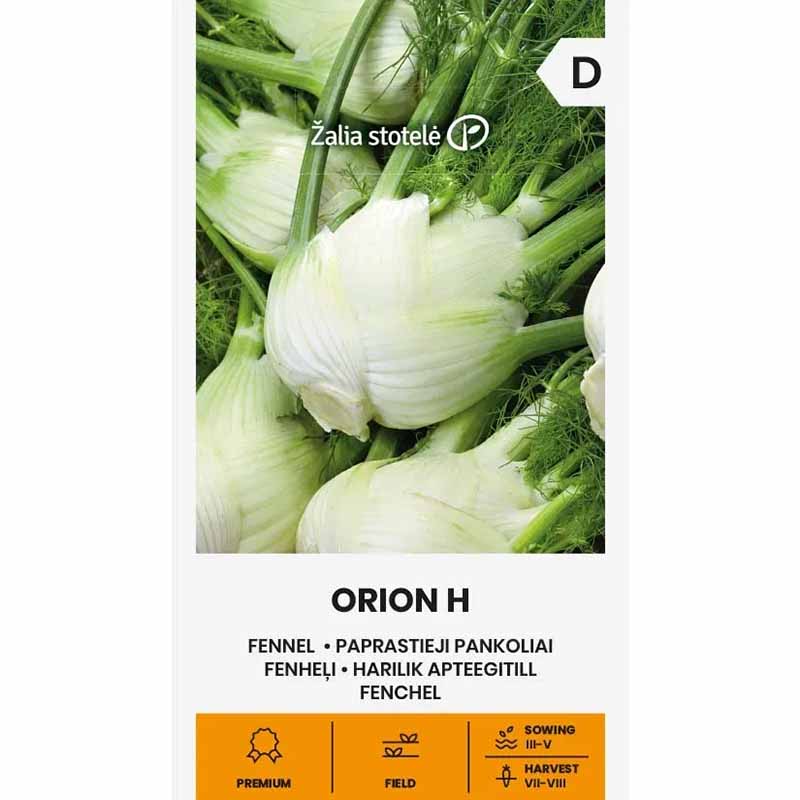 Fennikel 'Orion' h