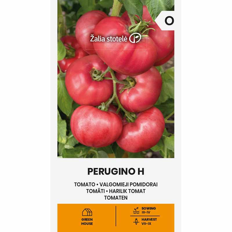 Tomat 'Perugino' H