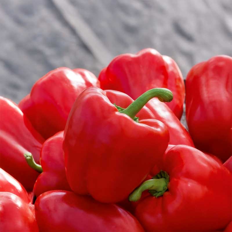 Paprika 'Granova'
