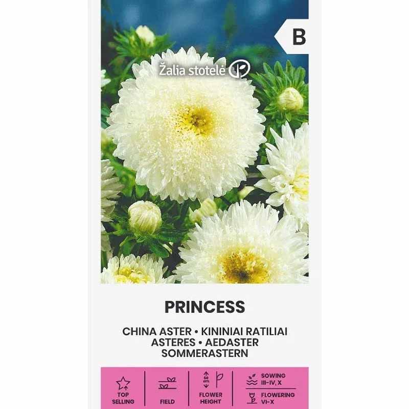 Sommerasters 'Princess' Hvit