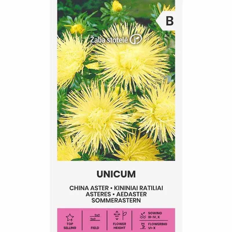 Sommerasters 'Unicum' Gul