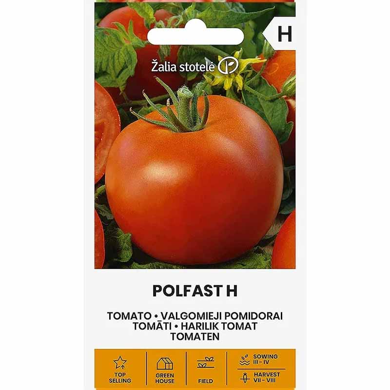 Tomat 'Polfast' H