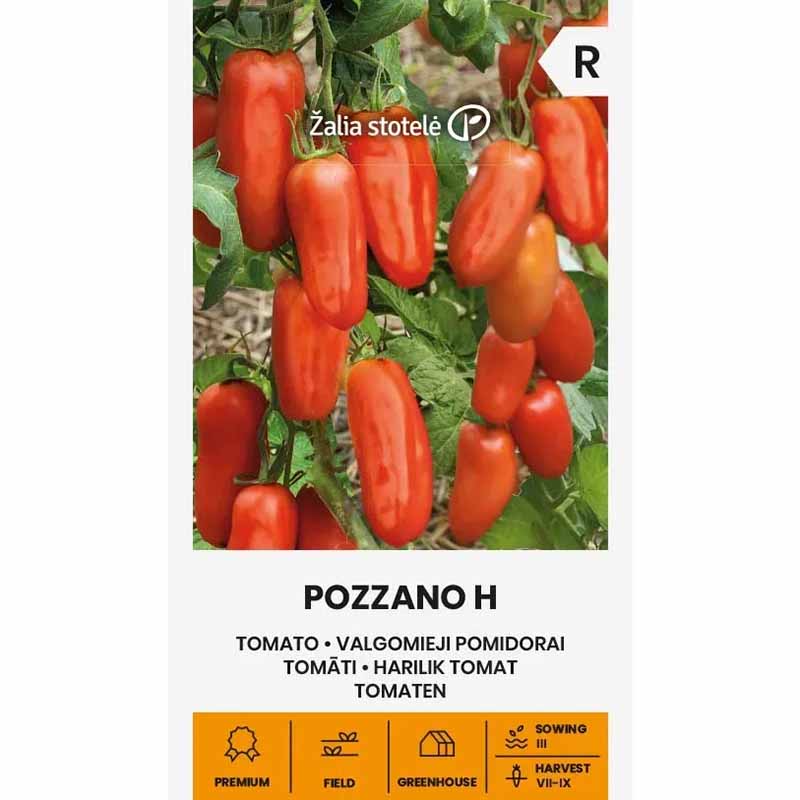 Tomat 'Pozzano' H