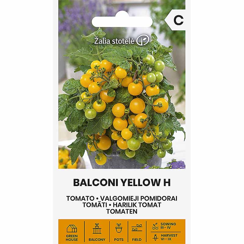 Tomat 'Balconi yellow' H