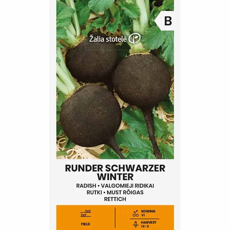 Rädisa 'Runder schwarzer winter'