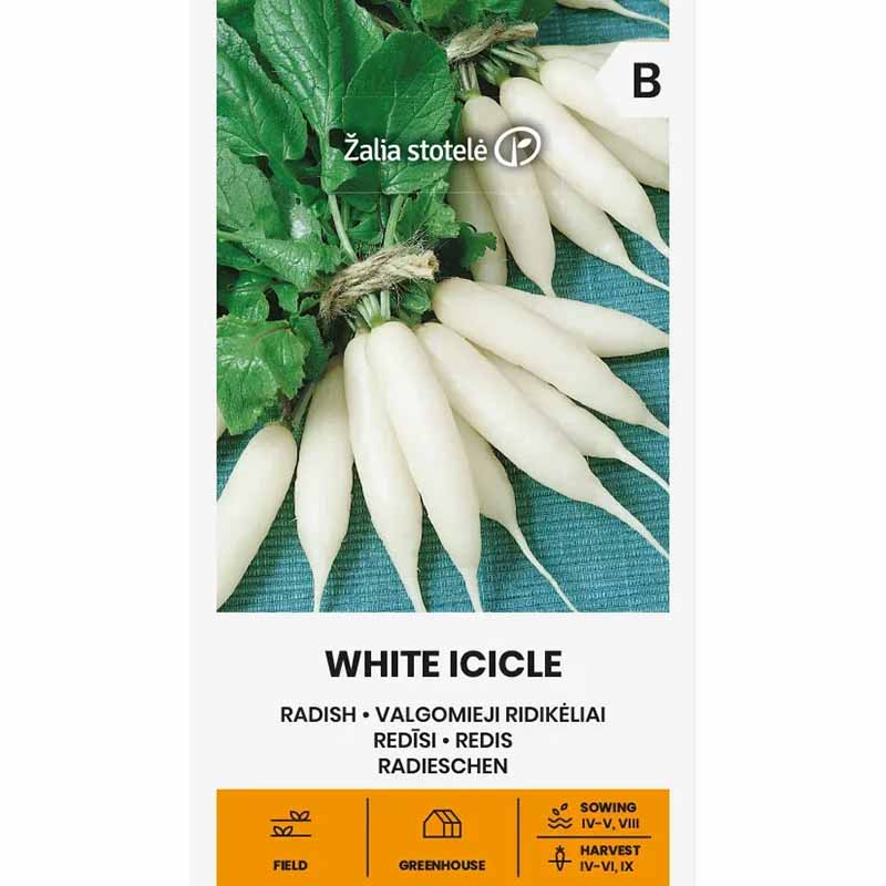 Rädisa 'Icicle'