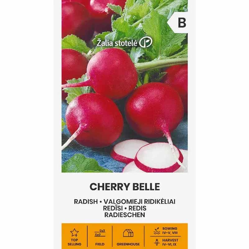 Rädisa 'Cherry belle'