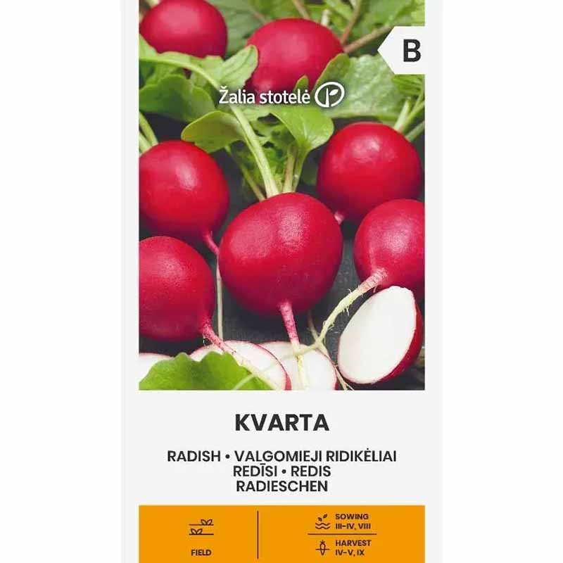 Rädisa 'Kvarta'