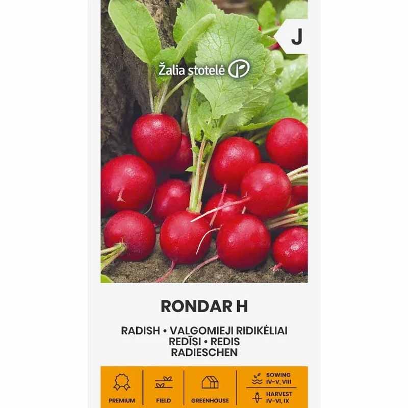 Rädisa 'Rondar' H