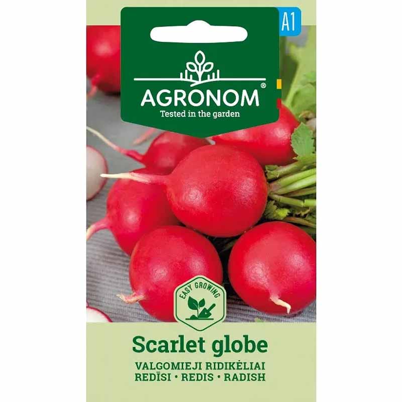 Reddik 'Scarlet globe'