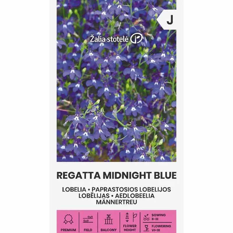 Henglobelia 'Midnight blue'