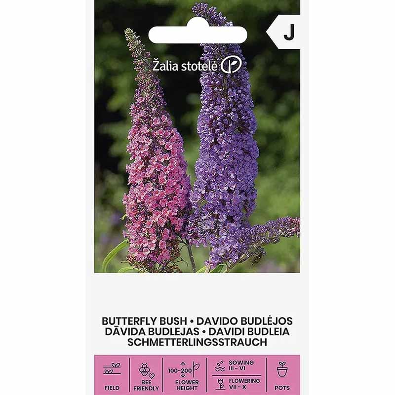 Buddleja