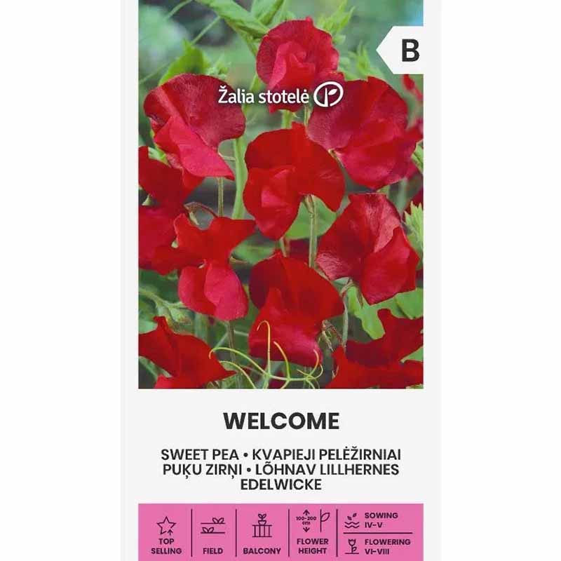 Luktärt 'Welcome'