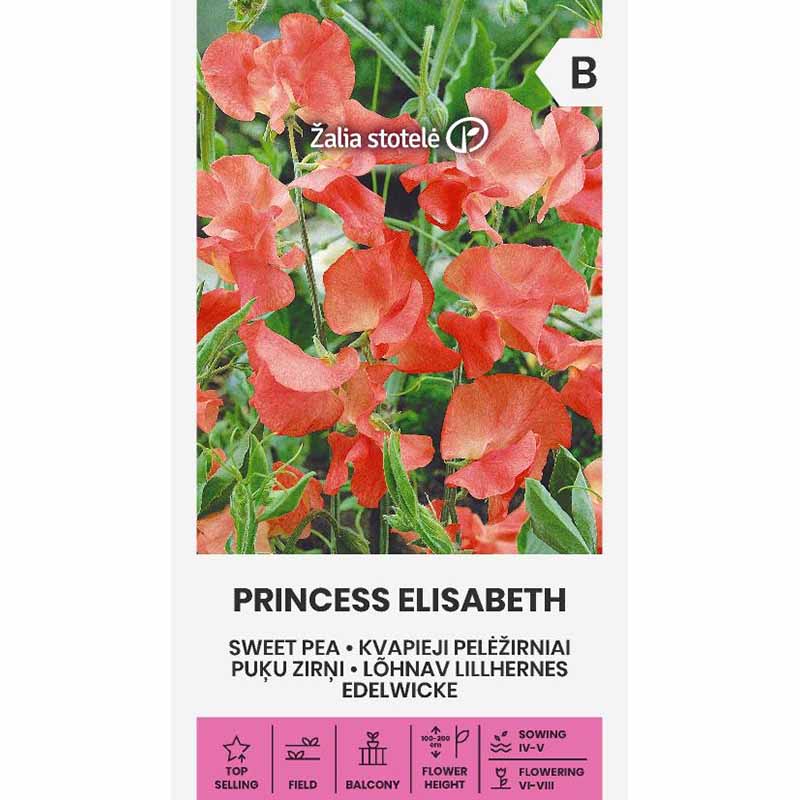 Duftert 'Princess Elisabeth'