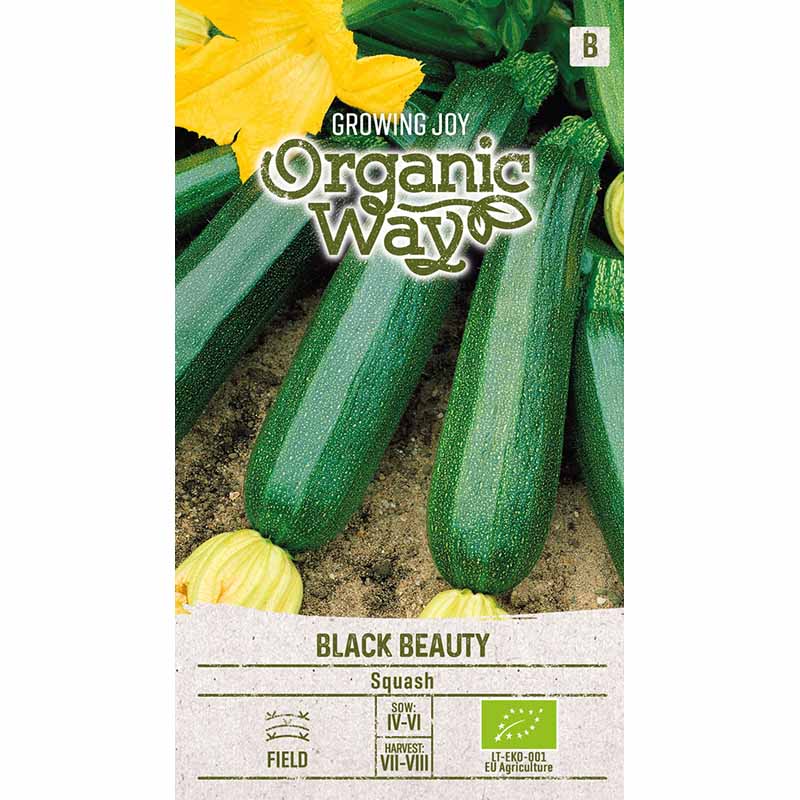 Squash 'Black beuty'