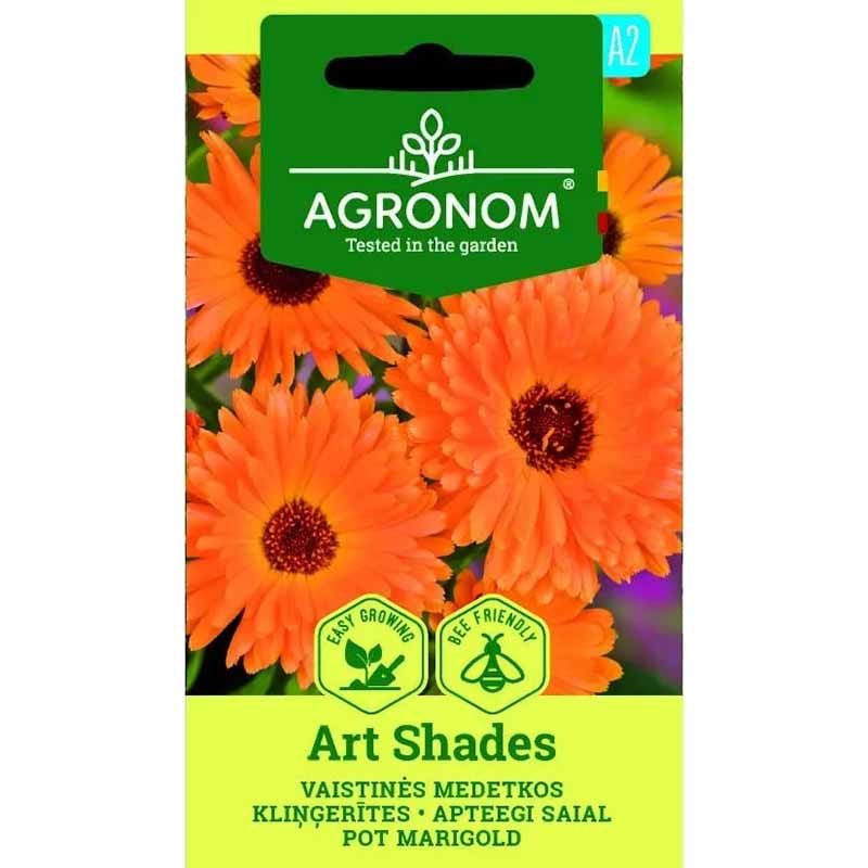 Ringblomst 'Art Shades'