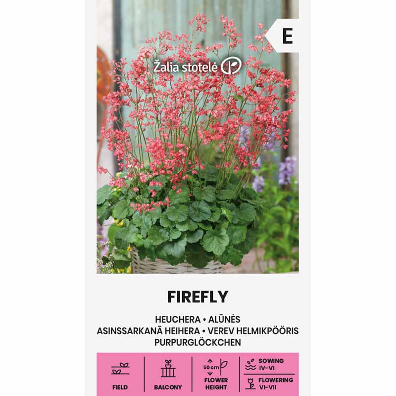 Blodalunrot 'Firefly'