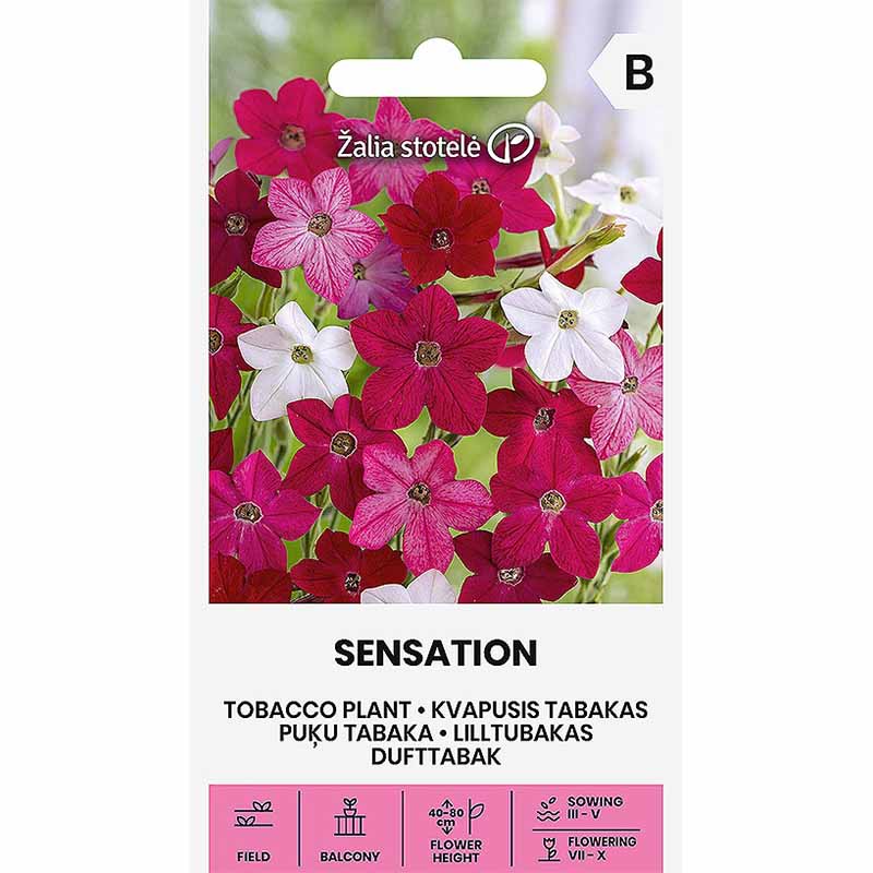 Prydtobakk 'Sensation'