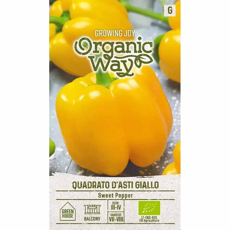 Paprika 'Quadrato d'asti giallo'